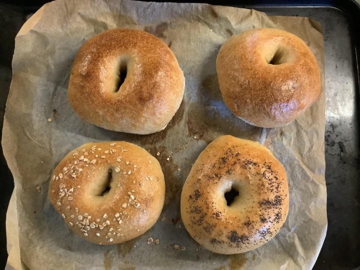 Sourdough Bagels