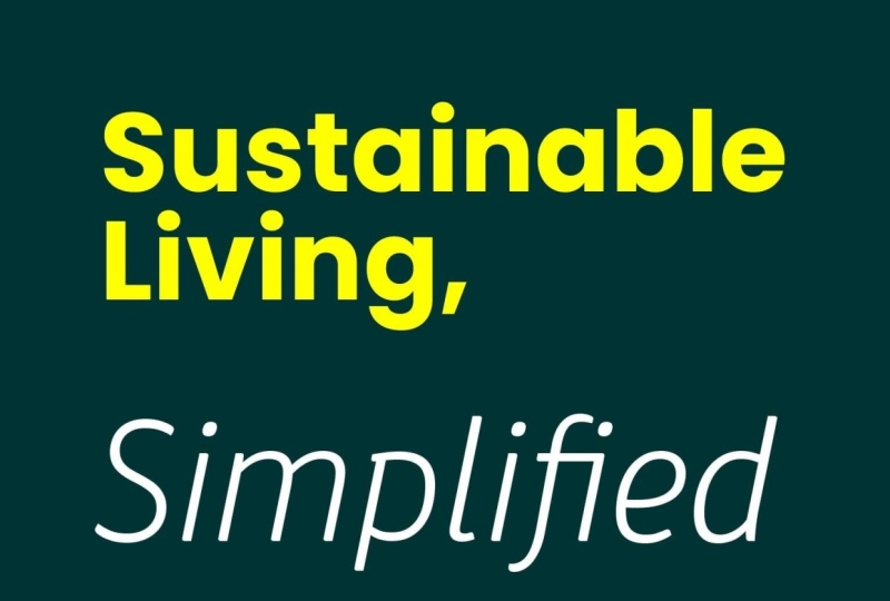 Ecovibe Home logo and flyer