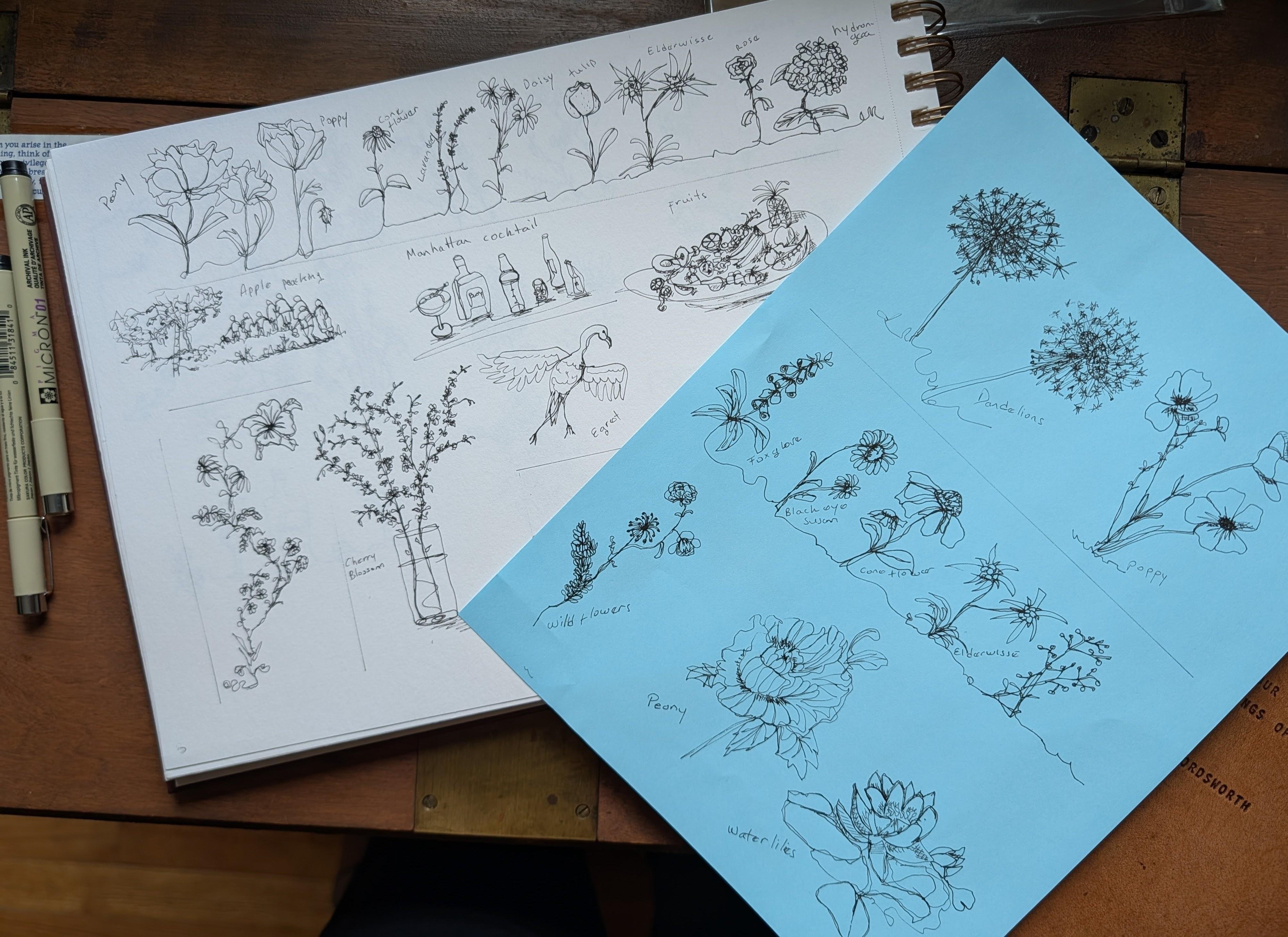 more-projects-from-class-img