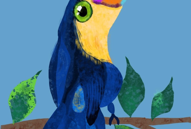 Toucan magic
