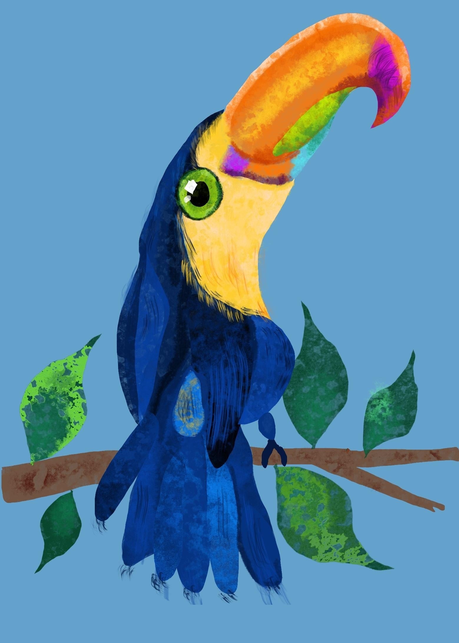 more-projects-from-class-img