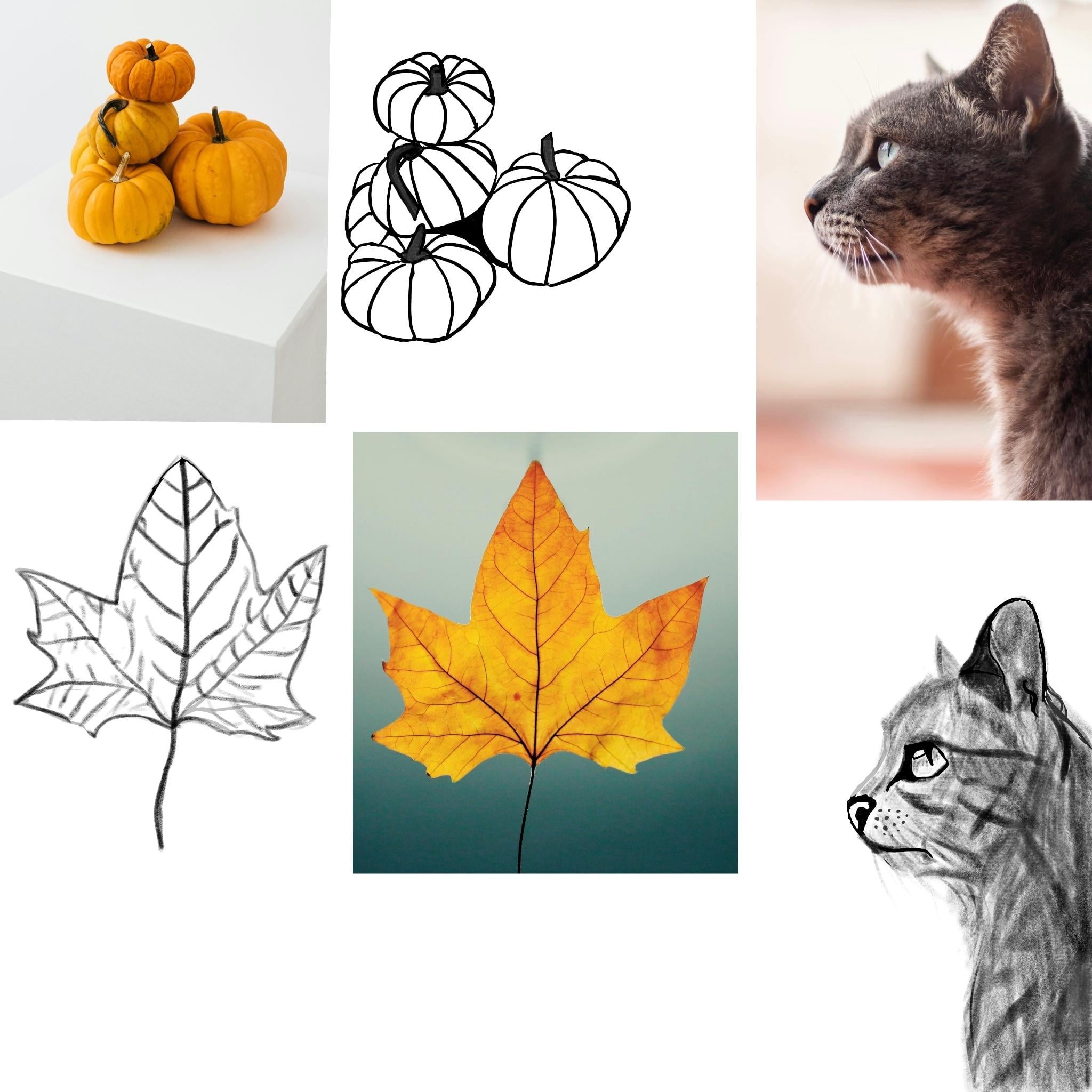 more-projects-from-class-img