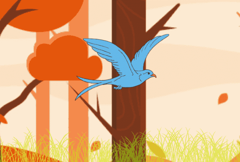 My flying bird