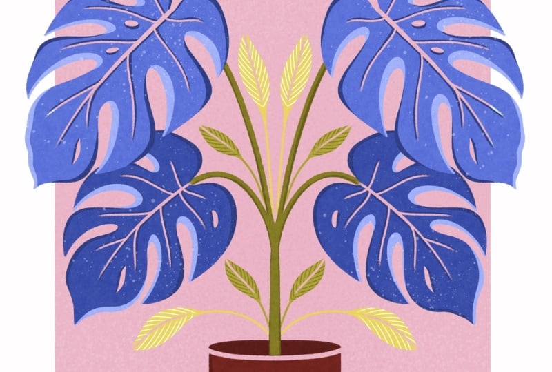 Modern Folk Art Poster - Monstera
