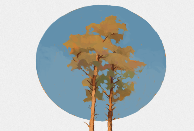 Tree Digital Illustration Final Project