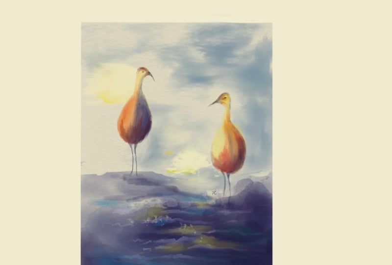 Cranes