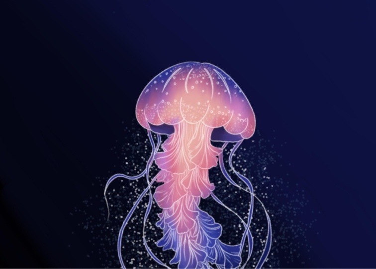 Jelly Fish