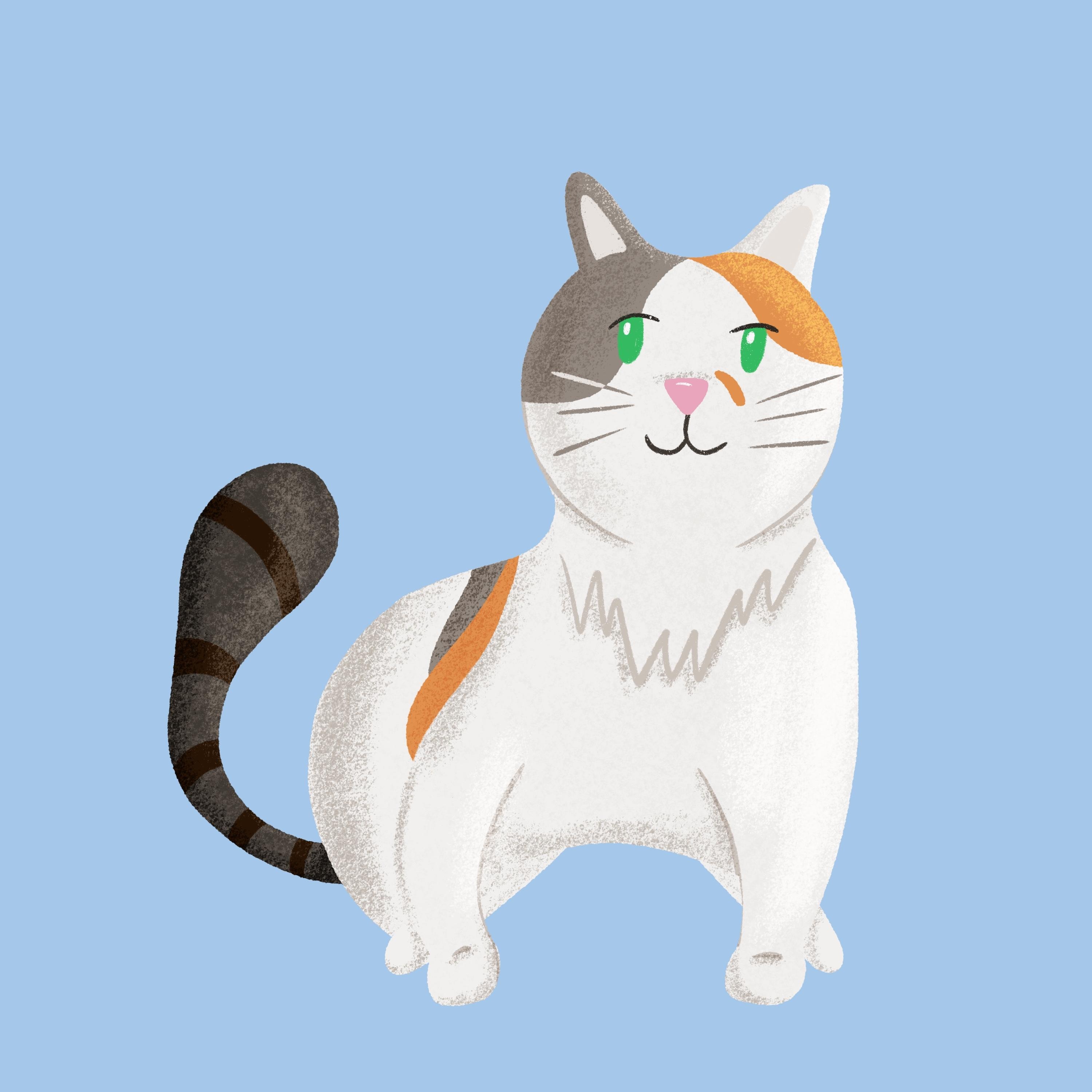 more-projects-from-class-img