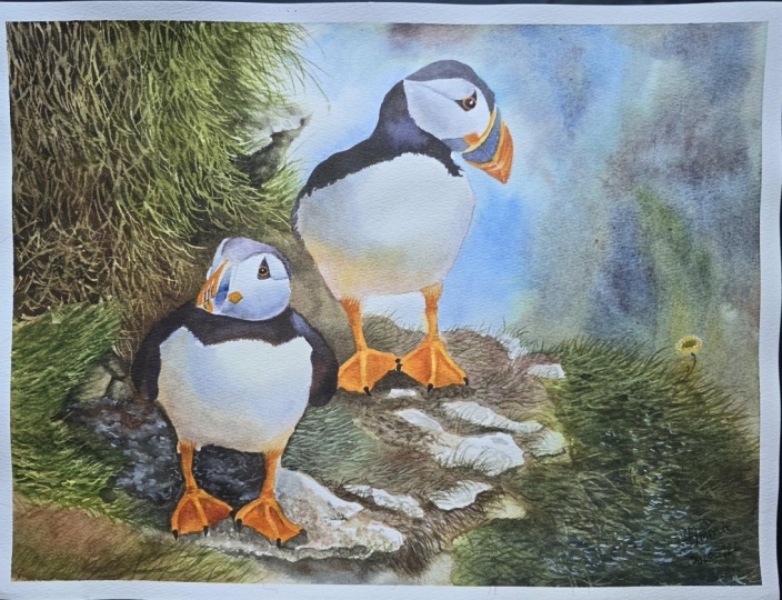 Puffins