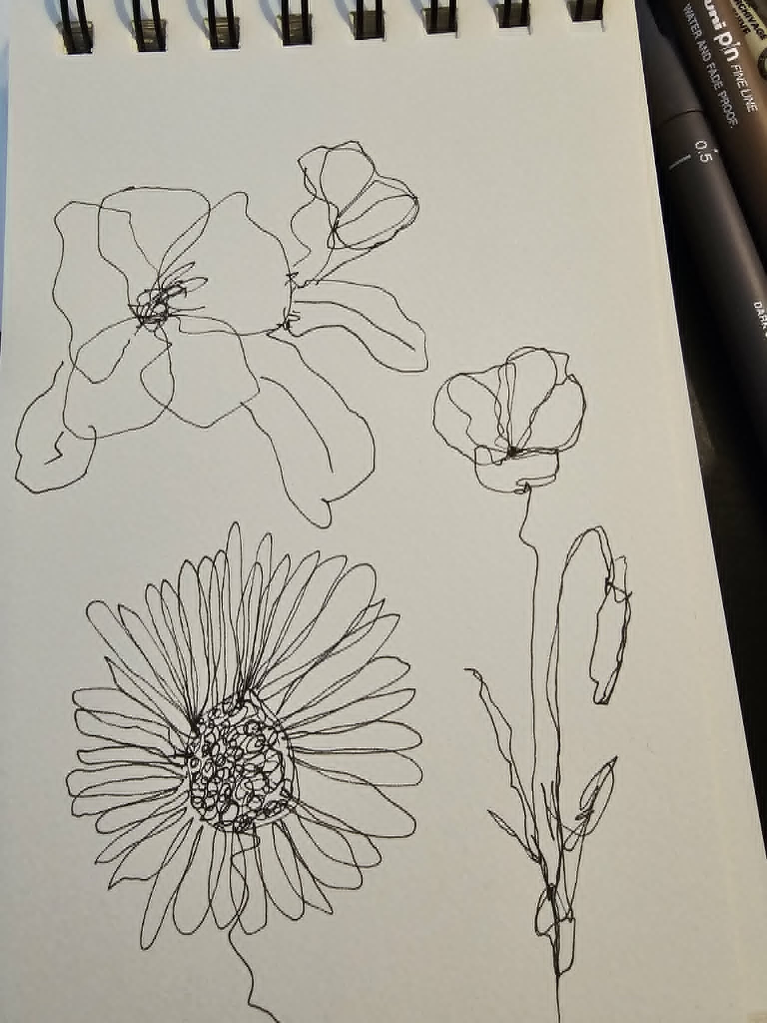 more-projects-from-class-img