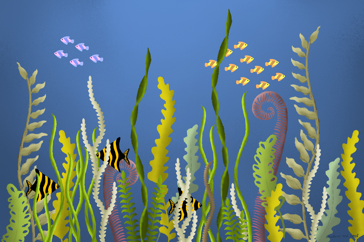 more-projects-from-class-img