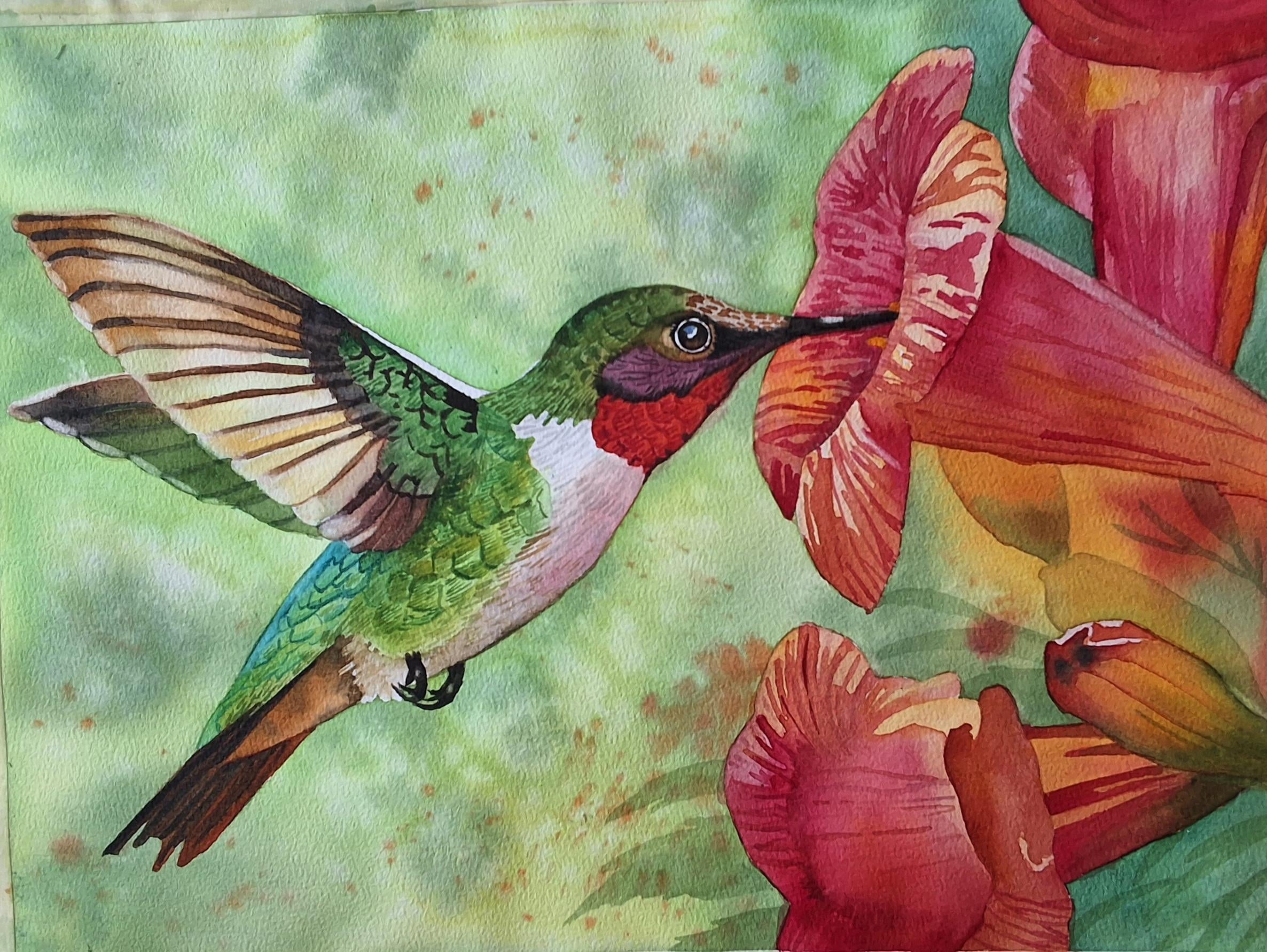 Humming bird - student project
