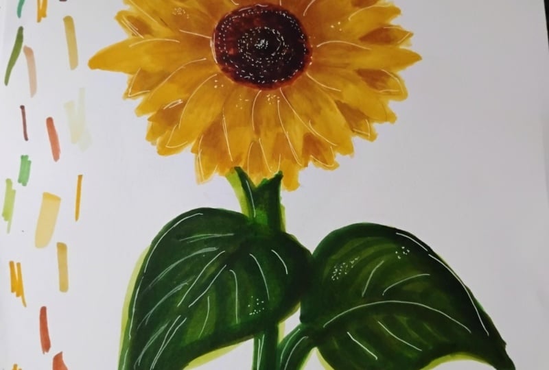 Sunflower