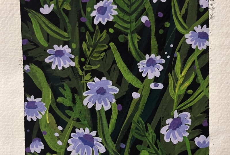 Purple Flowers