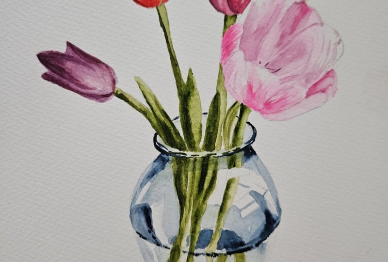 Tulips in a vase