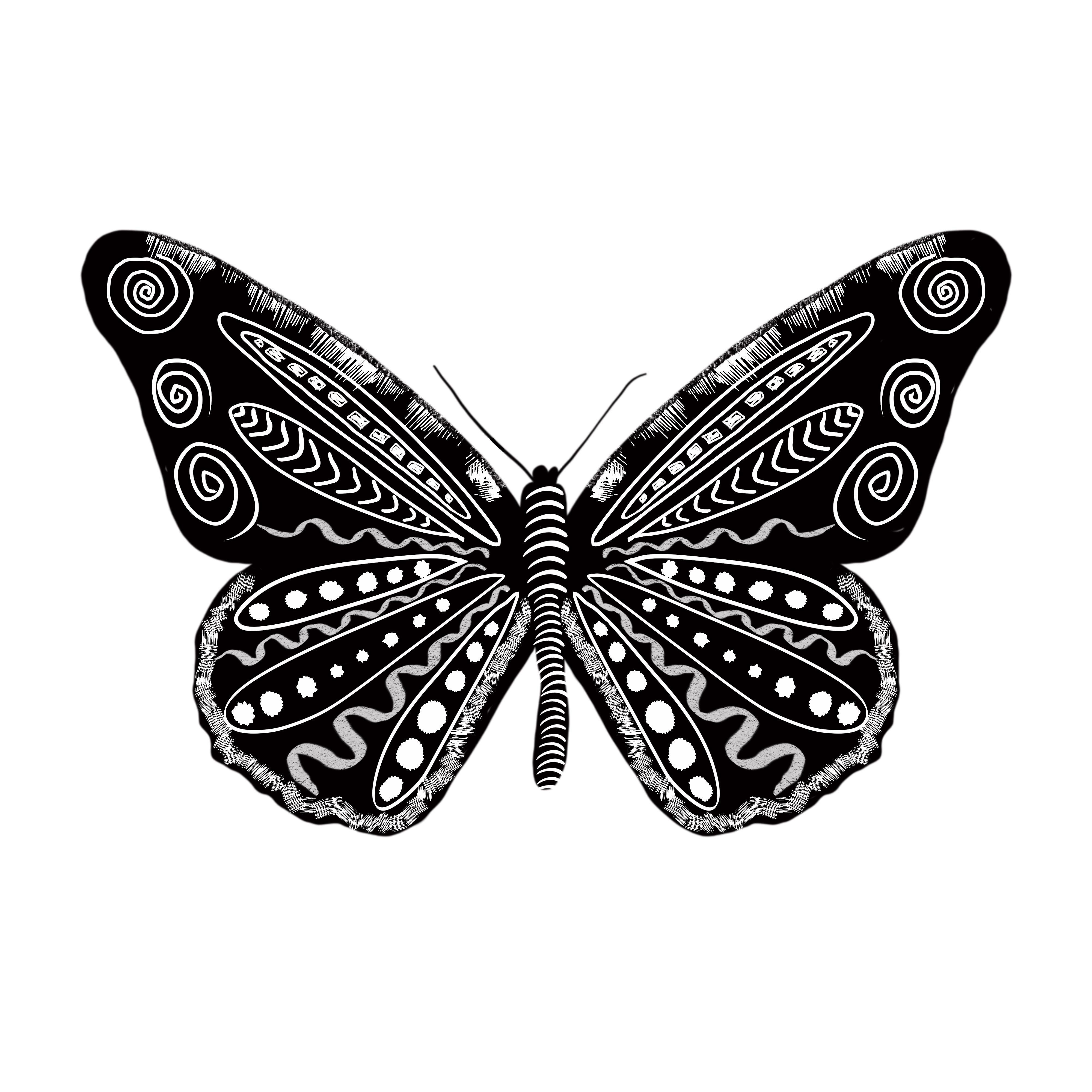 more-projects-from-class-img