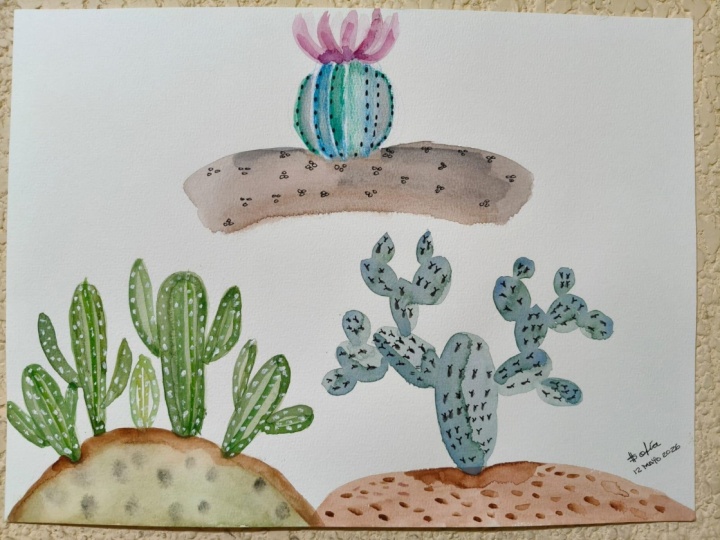 CACTUS DE LA ZONA DEL SILENCIO