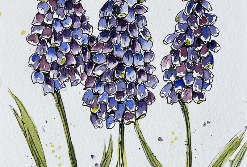 Happy Hyacinths