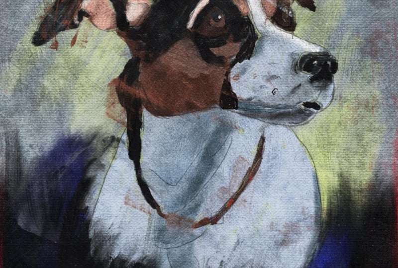 Easy abstract dog portrait
