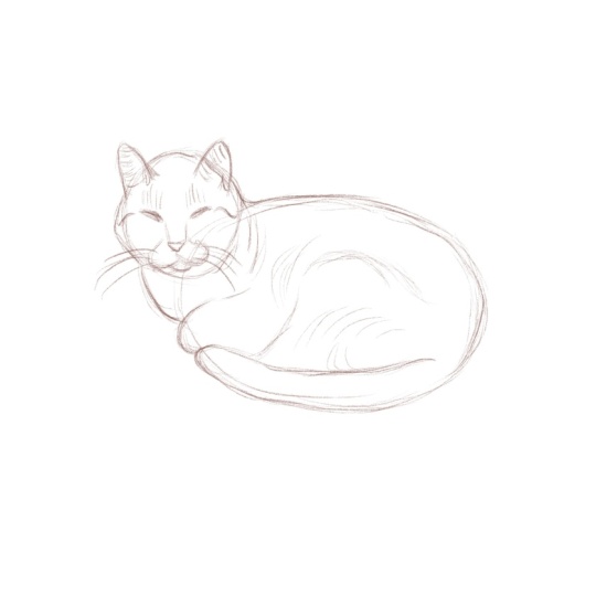 Cat Gesture Drawing