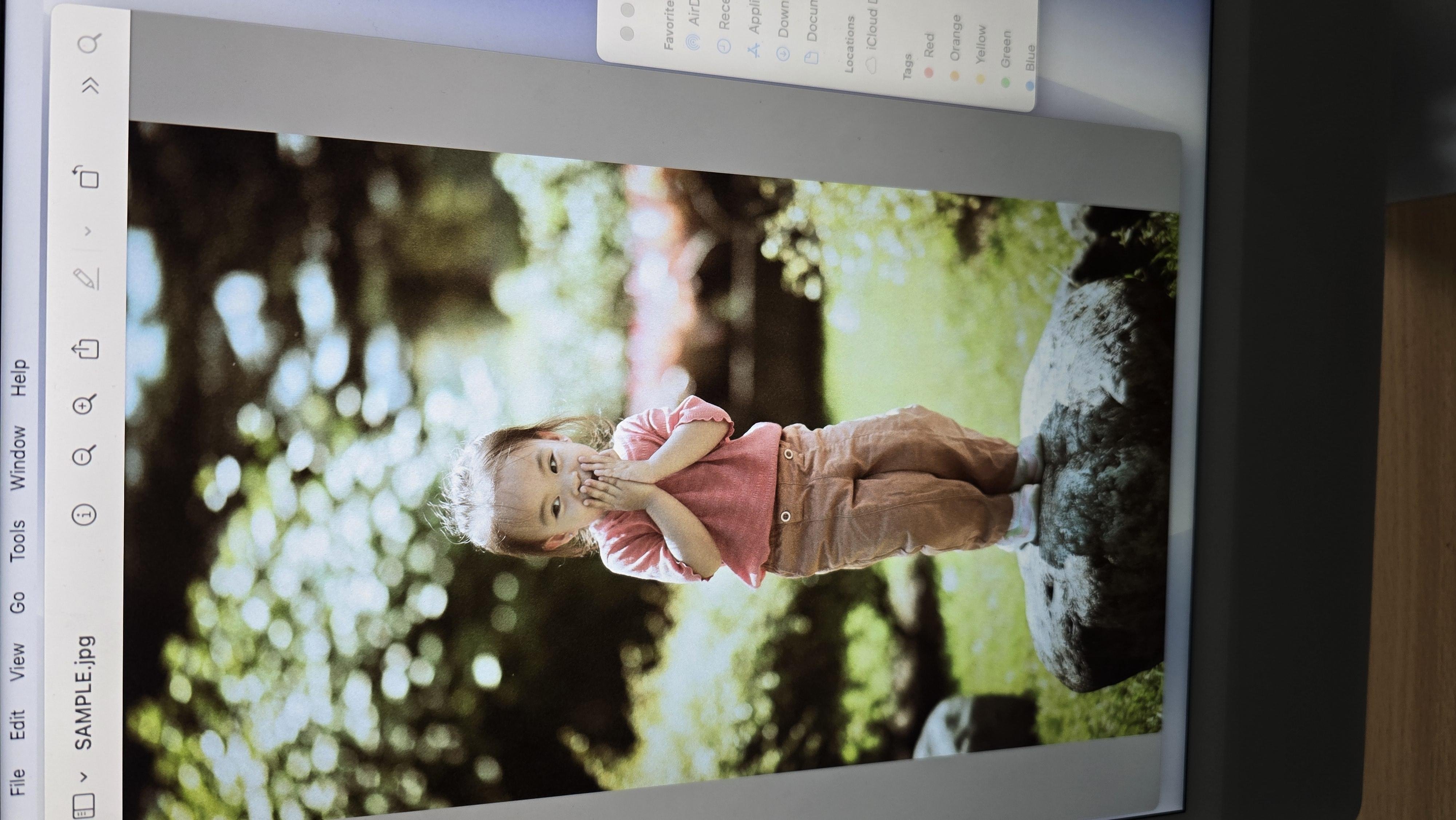 more-projects-from-class-img