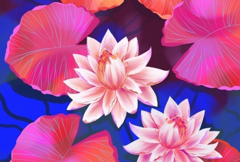 Pond with Waterlily  Flowers