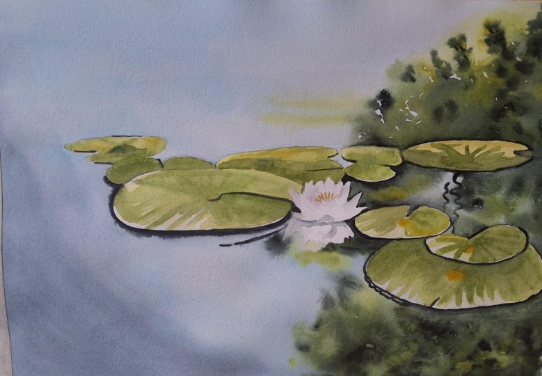 Water reflections