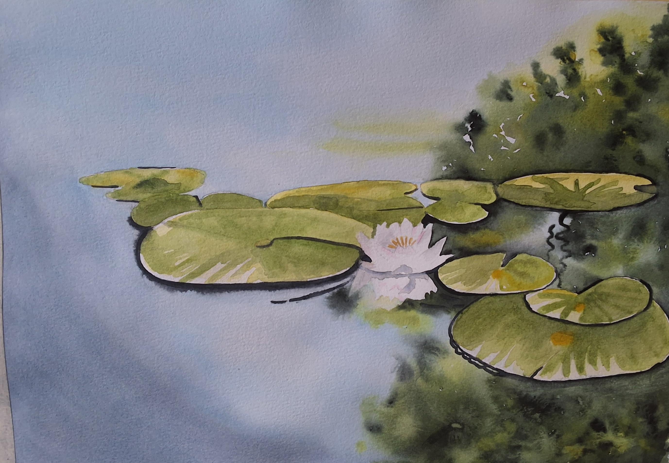 Water reflections - student project