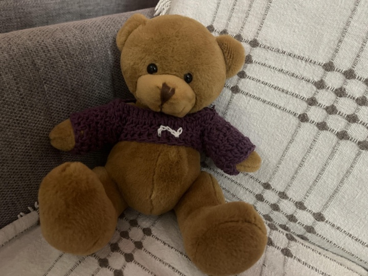 Crochet Sweater/shrug for teddy bear