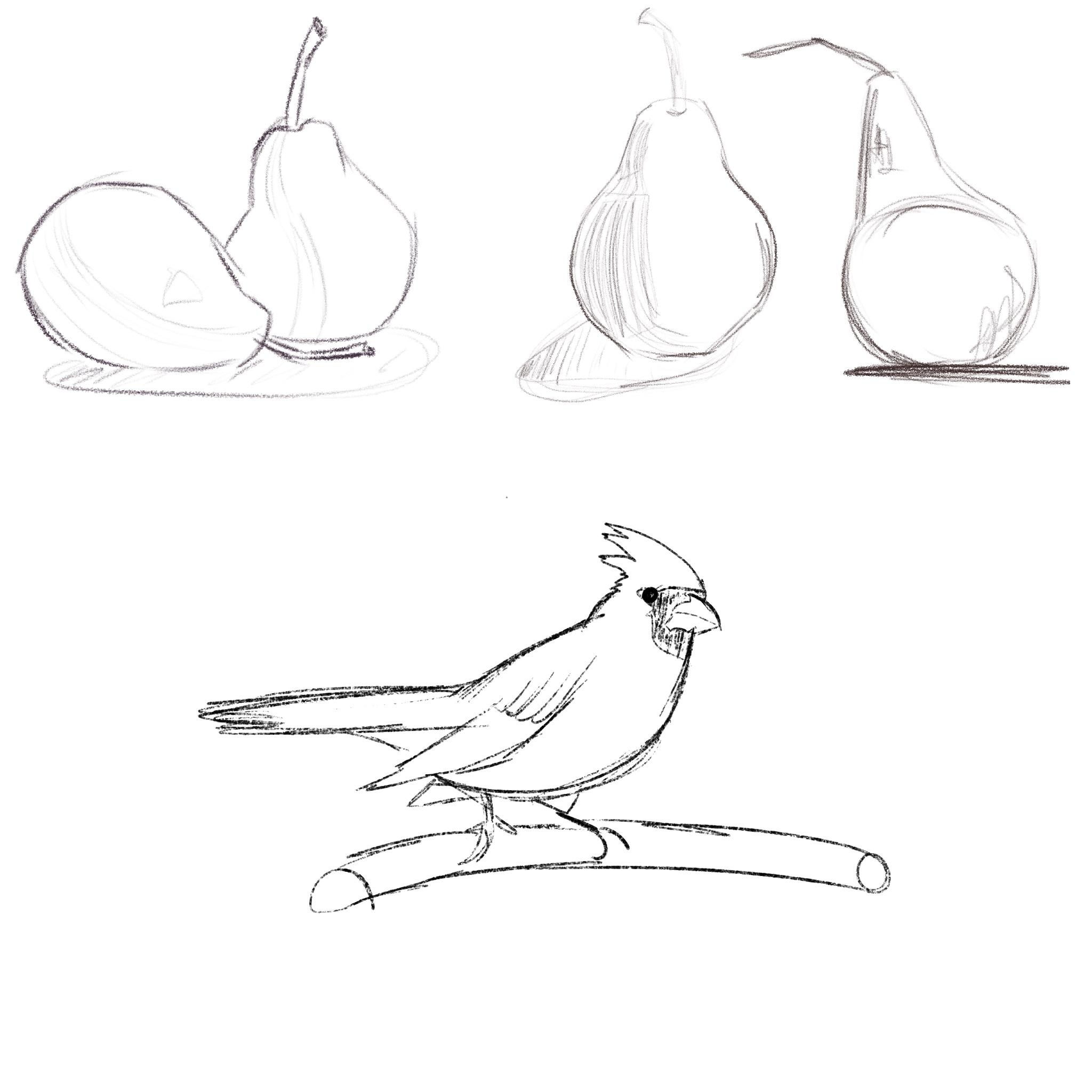 more-projects-from-class-img
