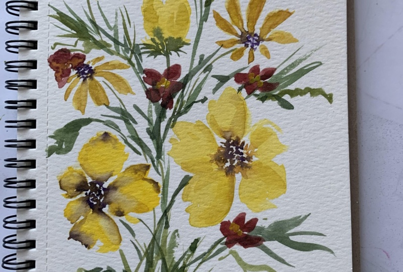 Daisy Field
