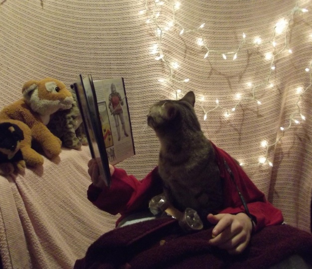 Cat Presenting a Speech