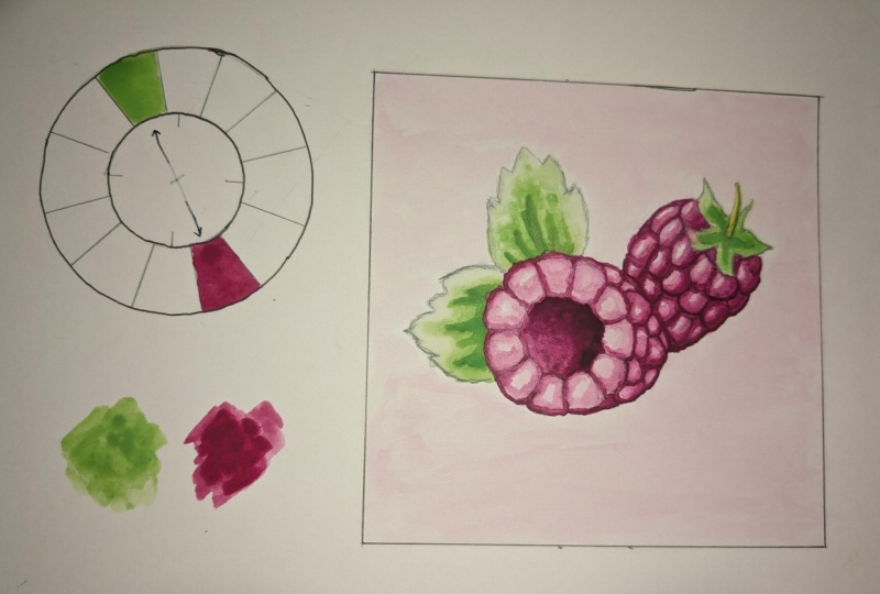 Complementary Color Raspberries
