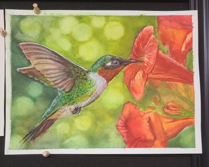 Hummingbird with Kris