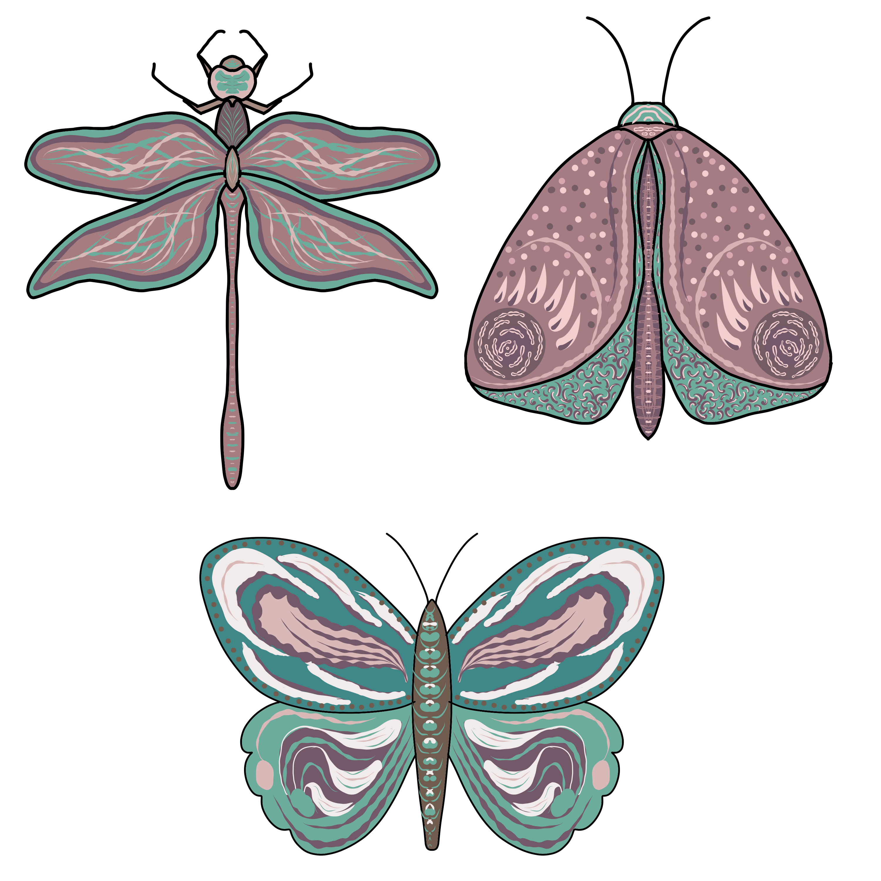 more-projects-from-class-img