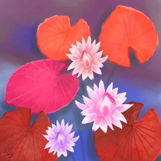 Waterlily Pond(revised version #2)