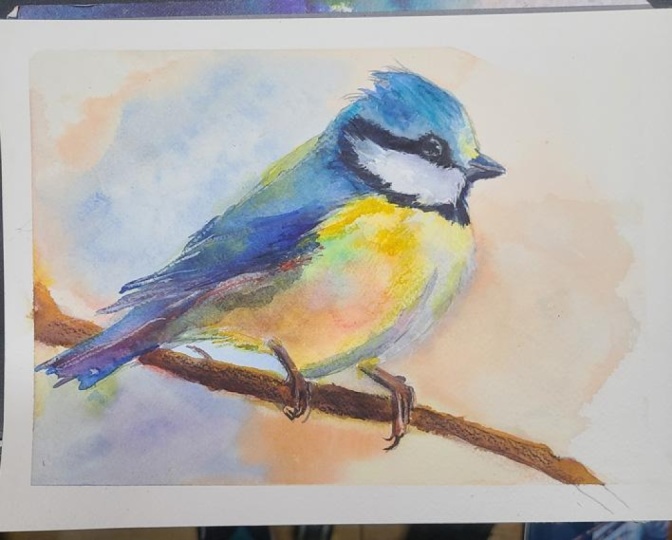 Blue tit with Will