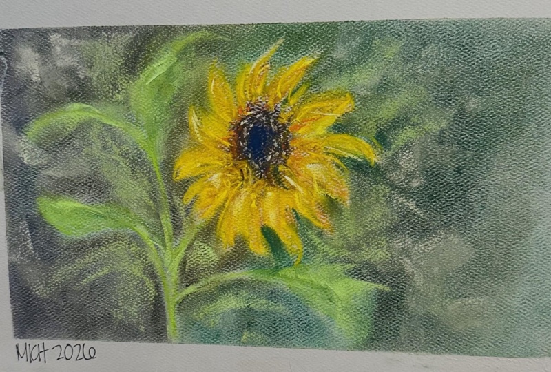 Pastel Sunflower