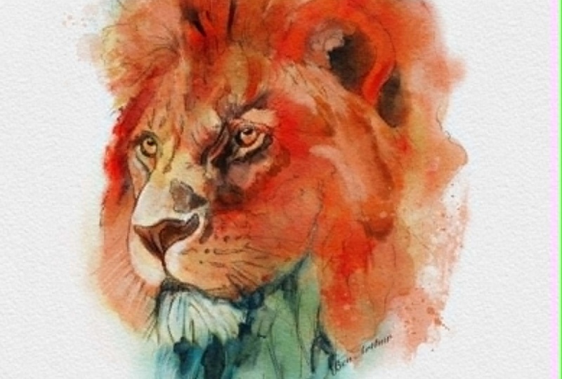 My Lion
