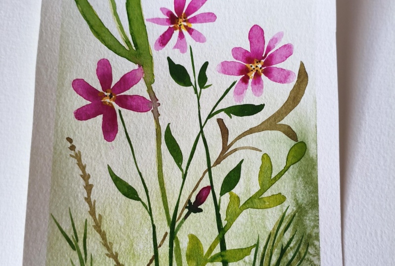 Pink Flowers