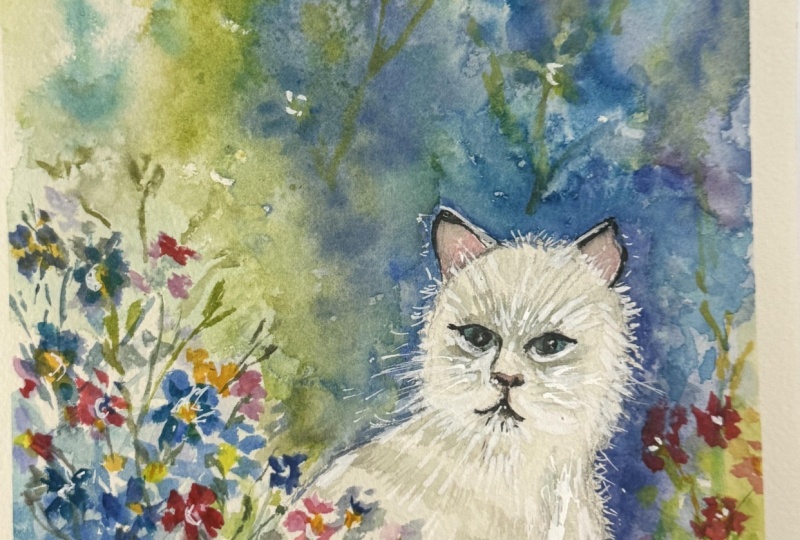 Watercolour cat