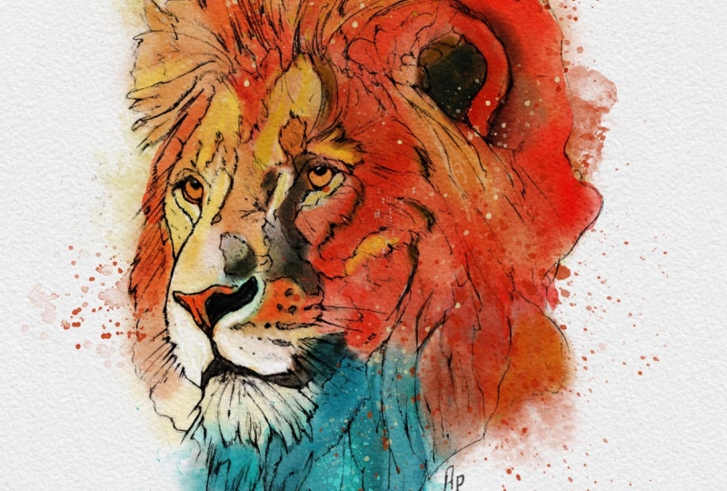 Procreate lion with Nathan Brown