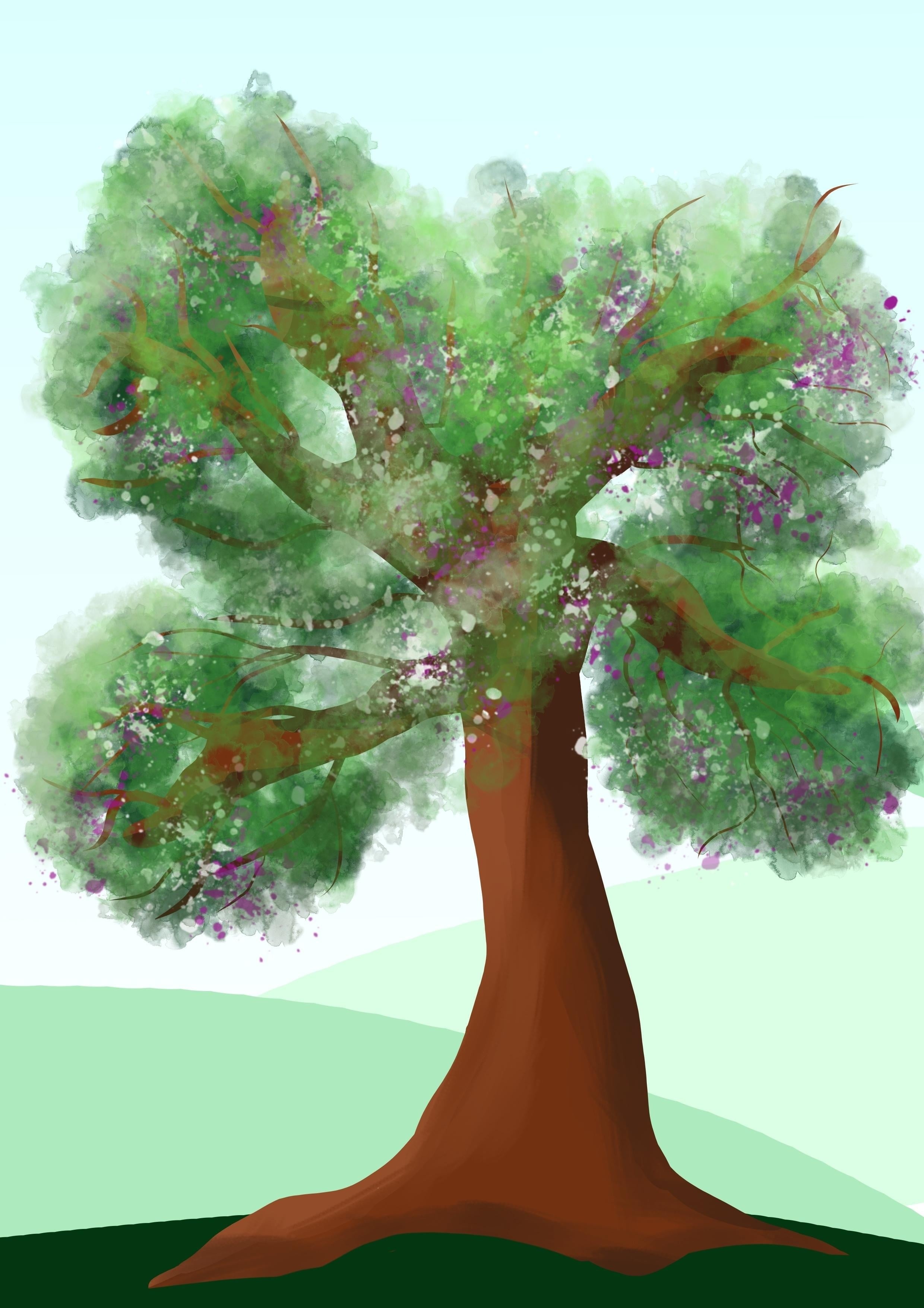 more-projects-from-class-img