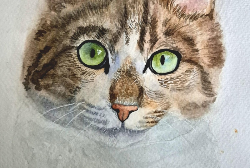 Gato en acuarelas