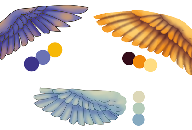 Colorful feathers