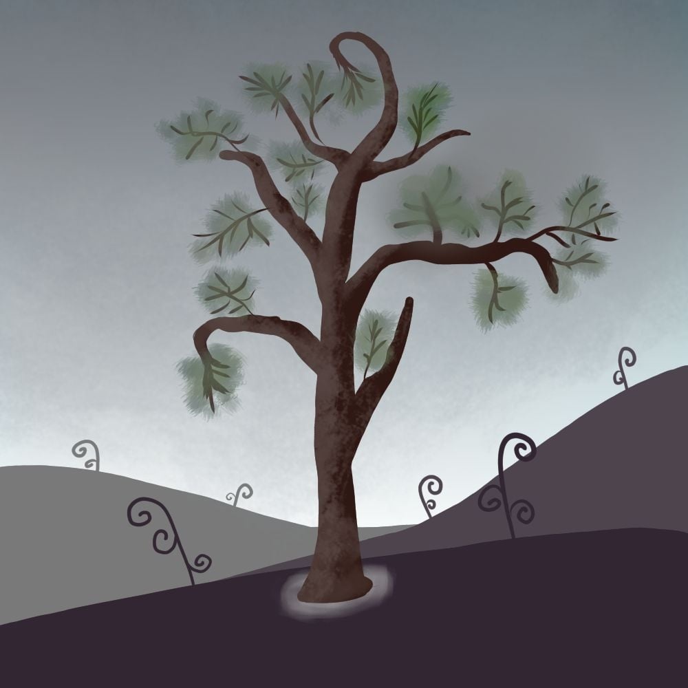 more-projects-from-class-img