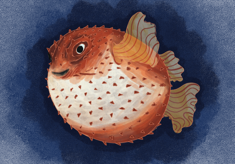 Pufferfish