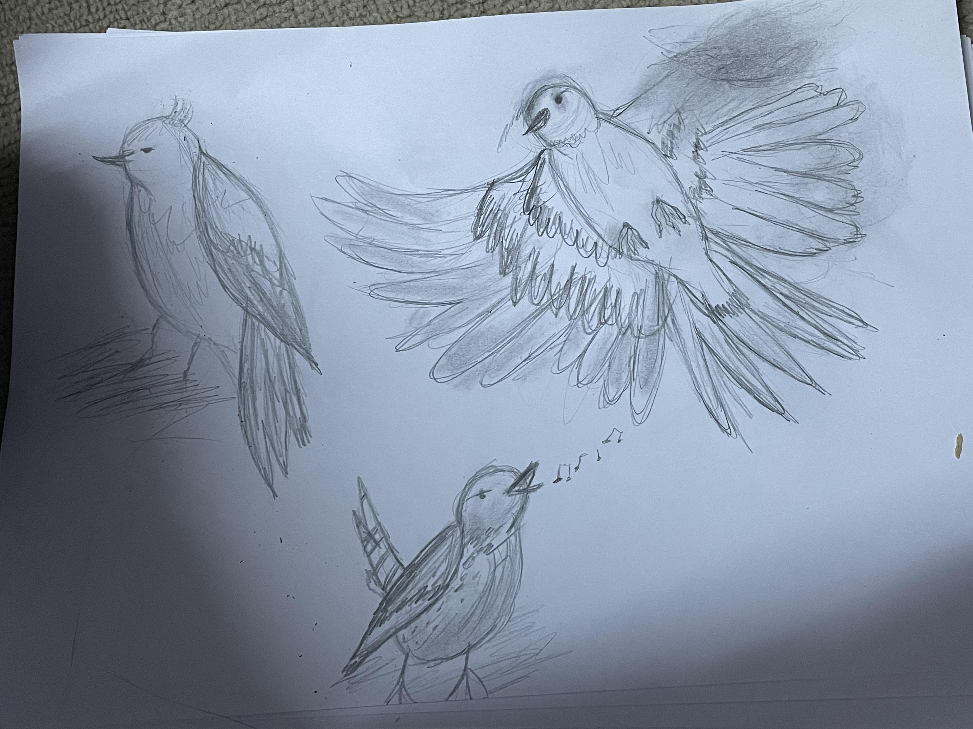 more-projects-from-class-img