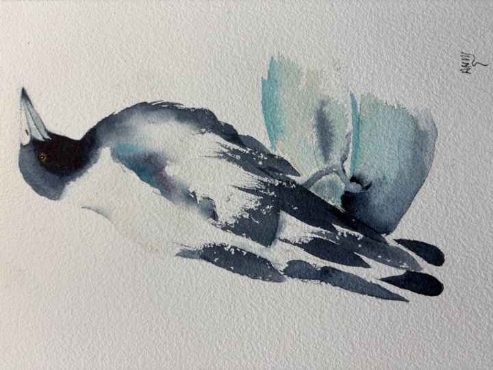 Magpie