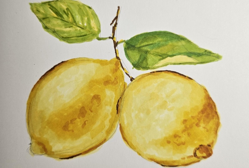 Lemon alcohol markers
